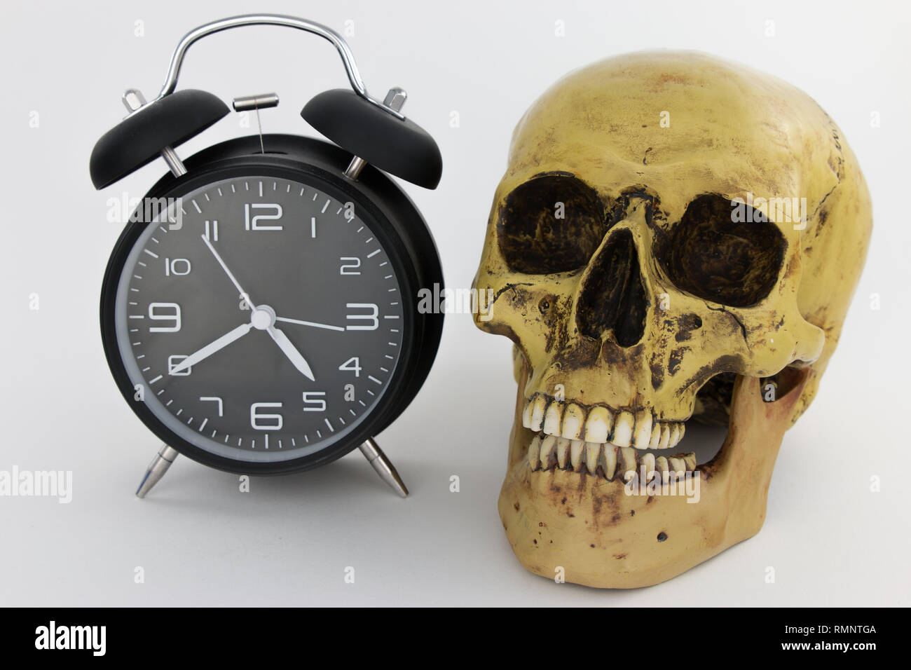 Cranio umano con sveglia su sfondo bianco Foto Stock