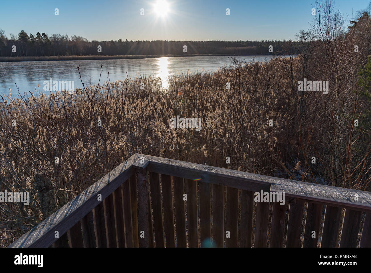 Guarda da una torre di osservazione nei pressi di un lago in Motala in Svezia Foto Stock