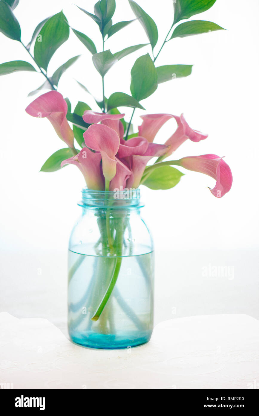 Cala lily bouquet in una tinta blu mason jar Foto Stock