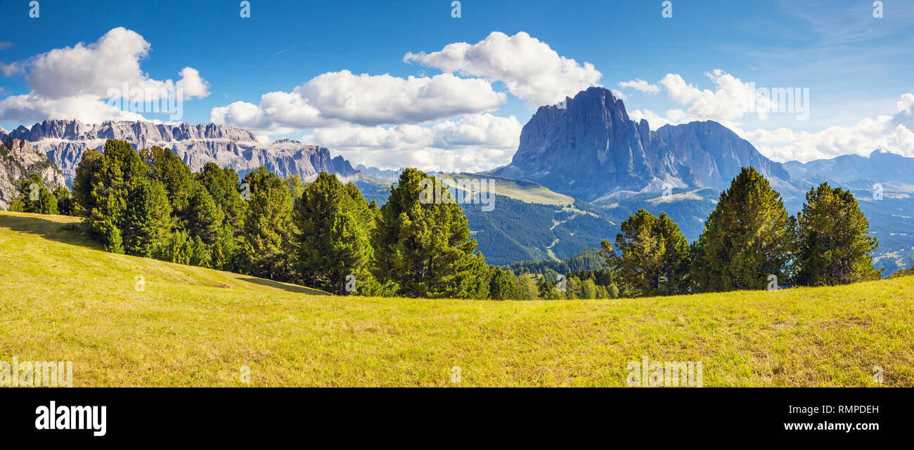 Ottima vista sul Sassolungo (Sassolungo) e gruppo del Sella, valle Gardena. Parco Nazionale Dolomiti Alto Adige Südtirol. Località di Ortisei, S. Cristina e SELV Foto Stock