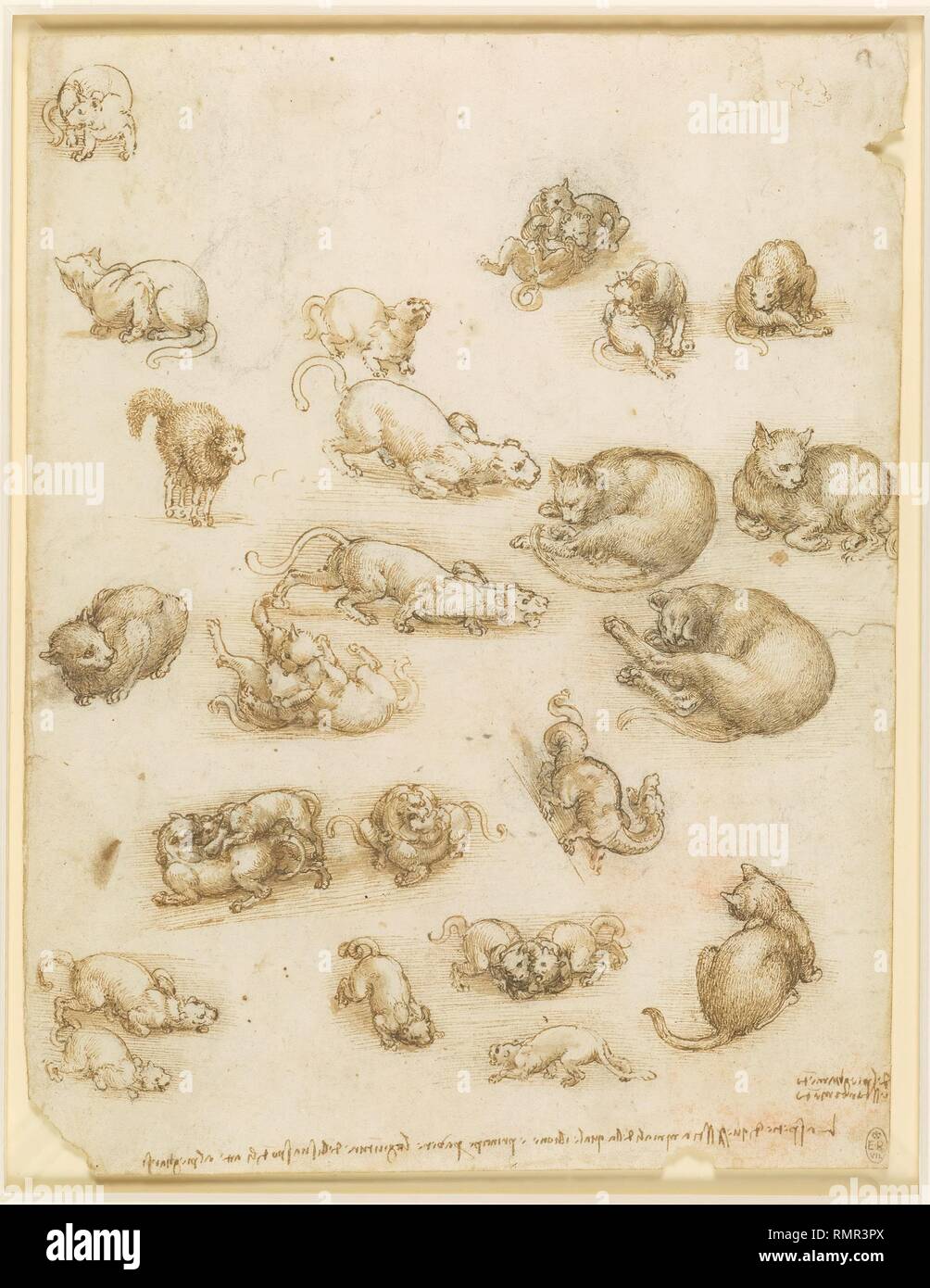 Gatti, leoni, e un drago c 1517-18. Gesso nero, penna e inchiostro, lavare 27.0 x 21.0 cm (foglio su carta). Autore: LEONARDO DA VINCI. Foto Stock