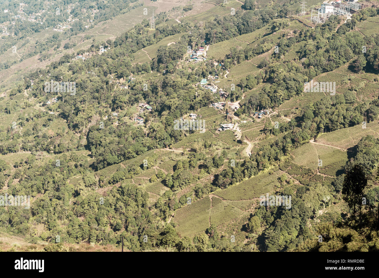 Vista del paesaggio di Kelagur Tea Garden Karnataka India: più alta del mondo ortodosso cresciuto Tea Garden è una grande attrazione per gli appassionati del tè. Qui il pr Foto Stock