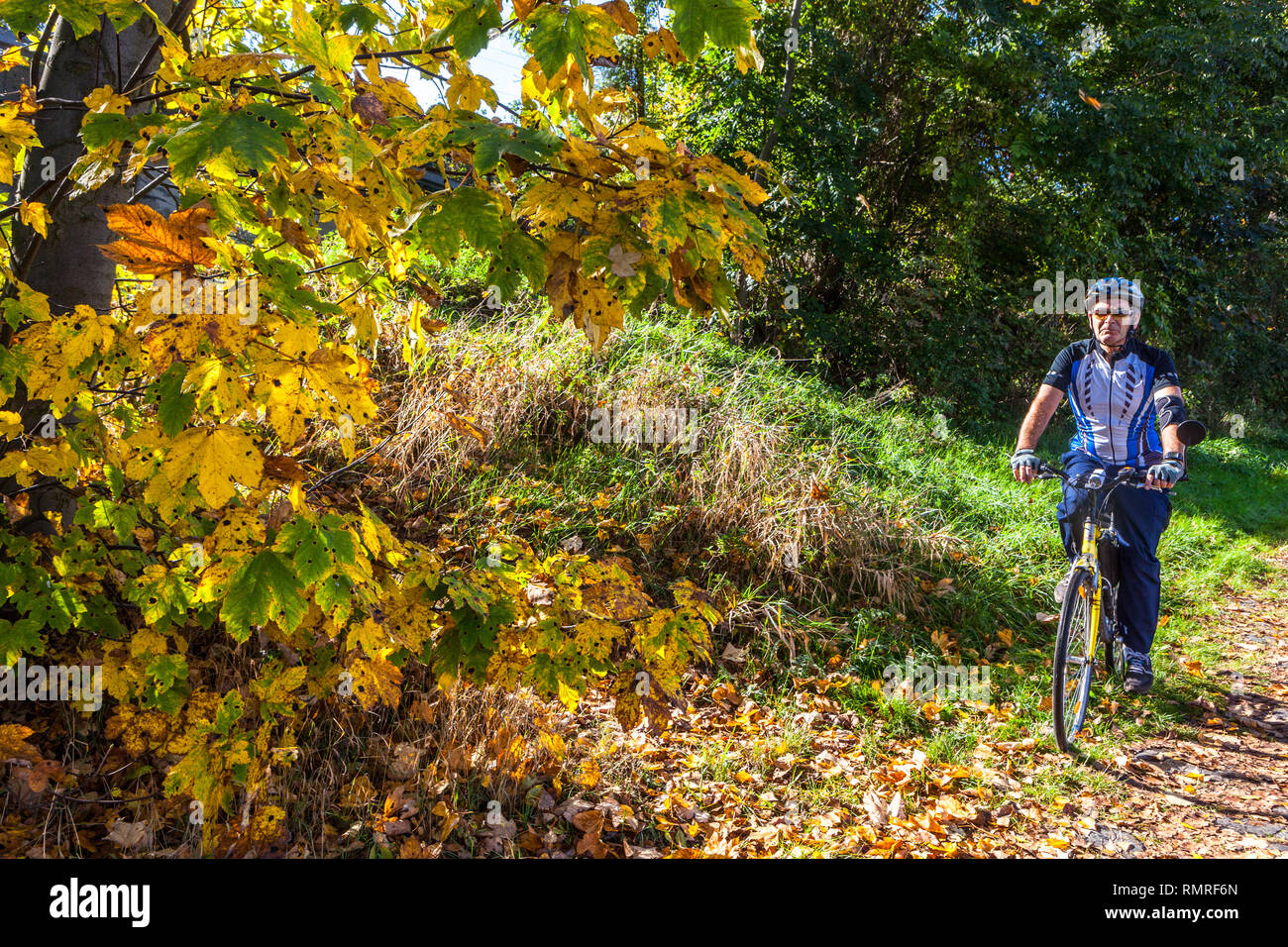 Ciclismo attivo senior, ciclismo in autunno natura invecchiamento attivo, bicicletta vecchio uomo Foto Stock