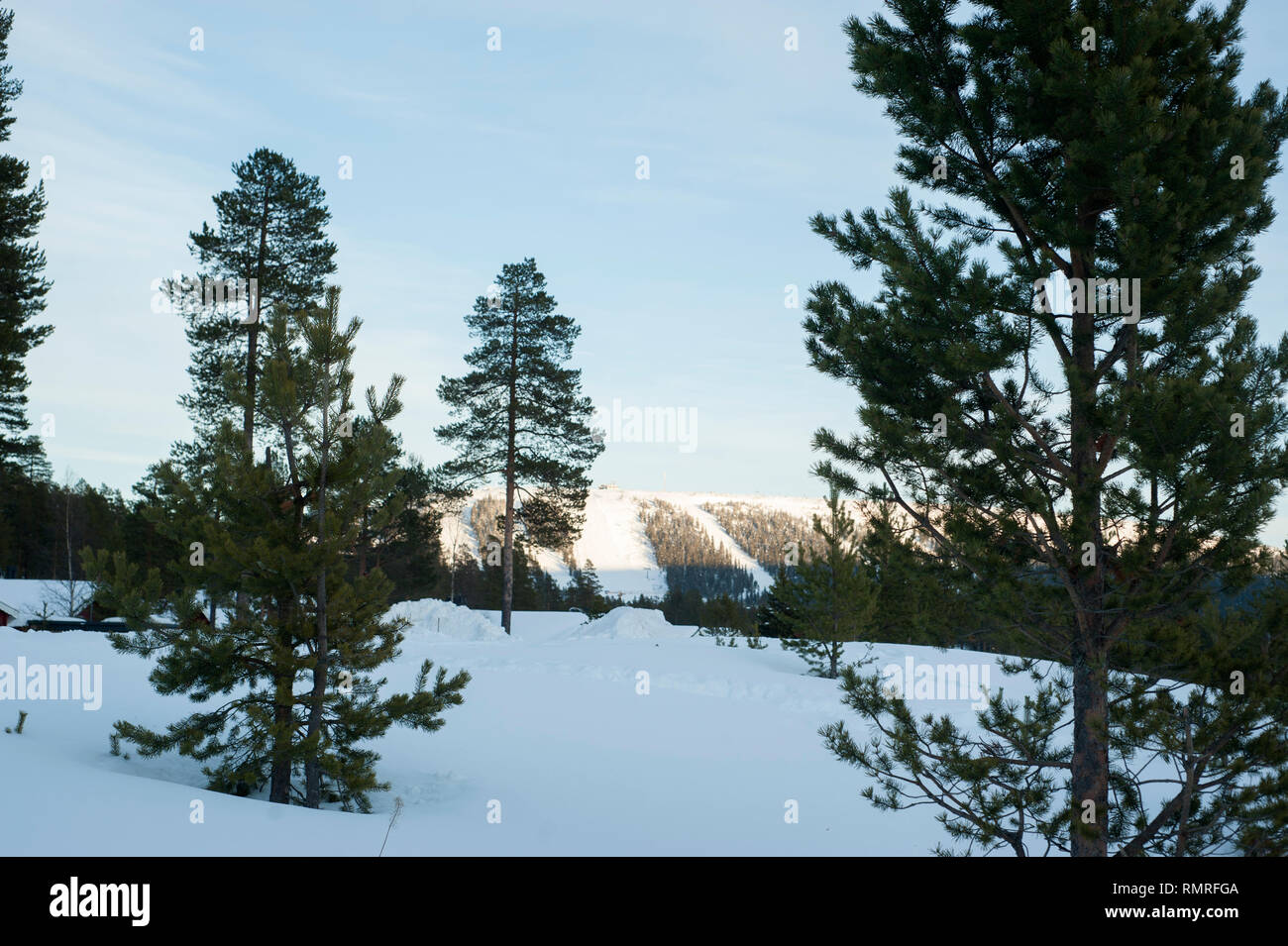 La Svezia, sci può essere un mezzo di trasporto, una attività ricreative o un competitivo sport invernali in cui il partecipante utilizza gli sci a scivolare sulla neve. Foto Stock