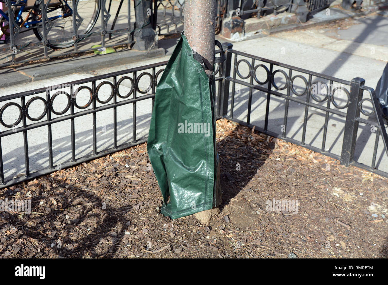 Tree watering Bag in Tree Pit Foto Stock