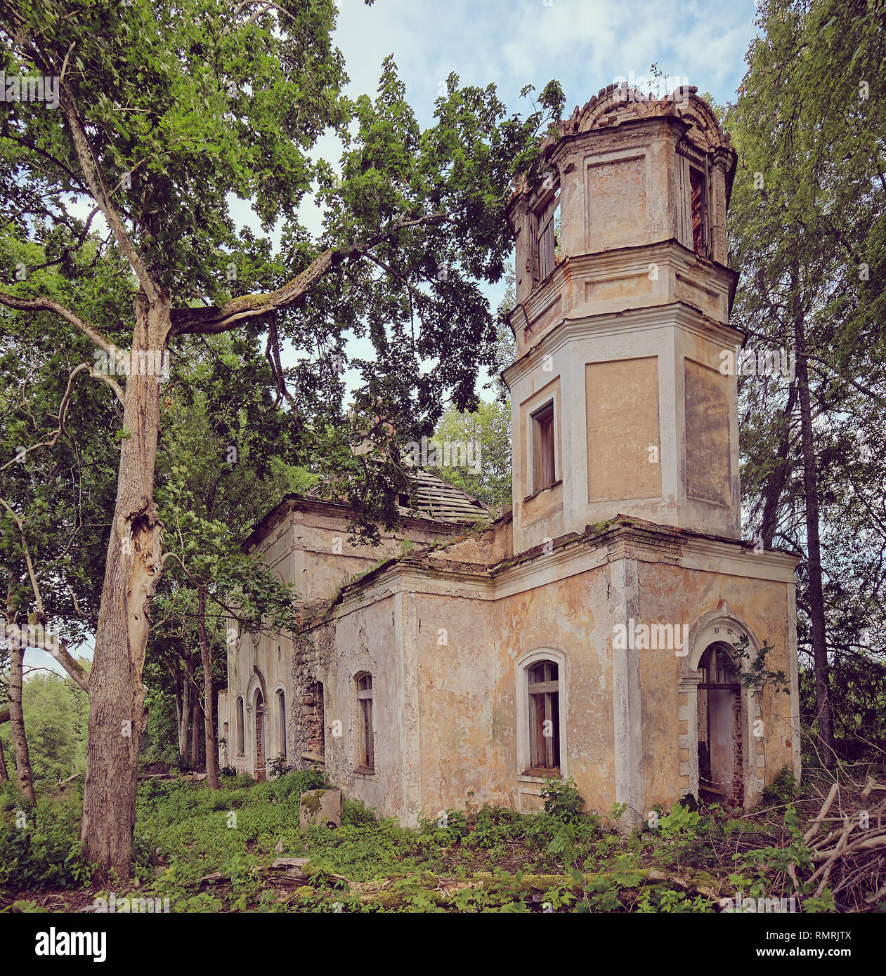 Vecchio abbandonato la Chiesa di San Nicola ruderi in Estonia. Il lussureggiante fogliame degli alberi e foreste che coprono la bellezza di questo antico edificio rovinato. Foto Stock