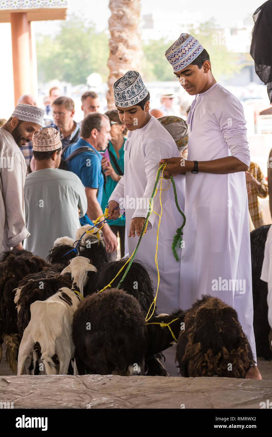 Nizwa, Oman - 2 Novembre 2018: Ragazzi portare le capre per il mercato degli animali a Nizwa Foto Stock