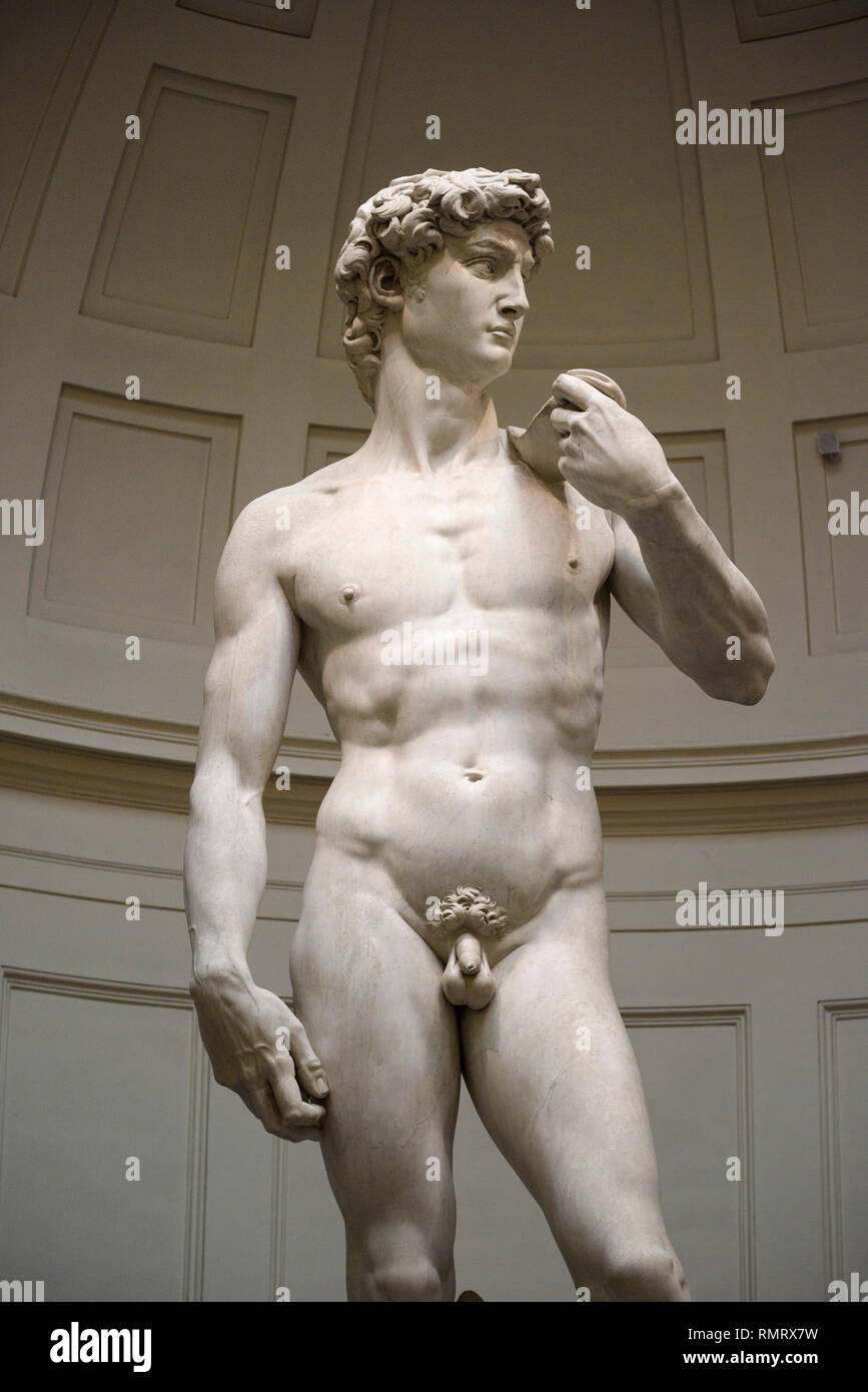 Firenze. L'Italia. Michelangelo della statua di Davide (1501-1504), la Galleria dell'Accademia. Foto Stock