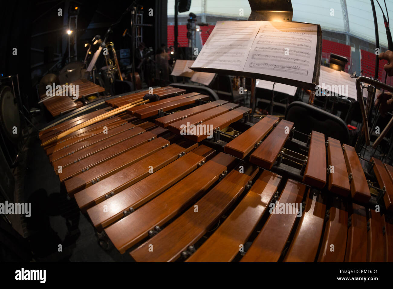 Marimba mexicana in concert hall Foto Stock