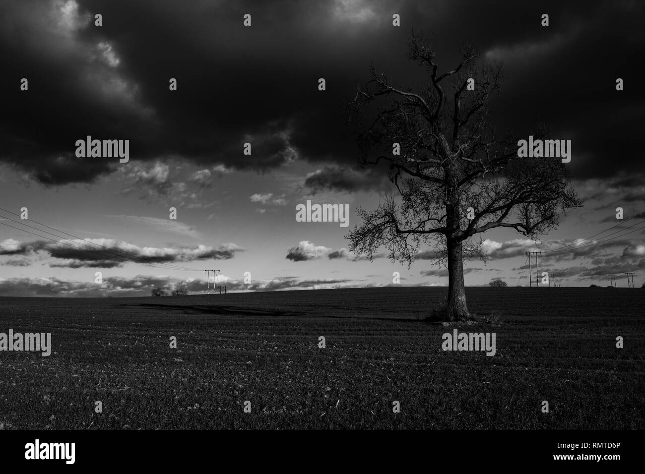 Campagna di Hereford Foto Stock