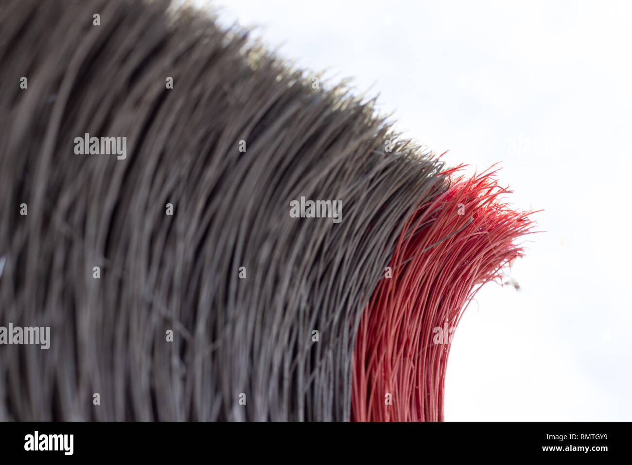 Scopa Foto Stock