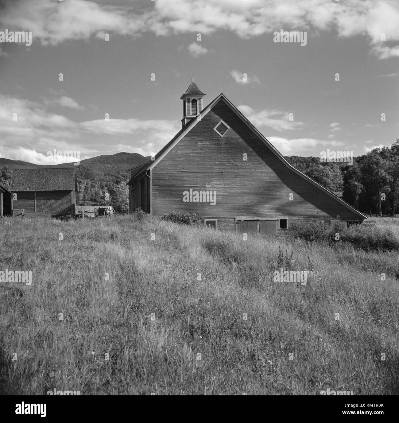 Fienile e un campo di fieno, Sud Lincoln, Vermont, USA, Louise Rosskam, Farm Security Administration, Luglio 1940 Foto Stock