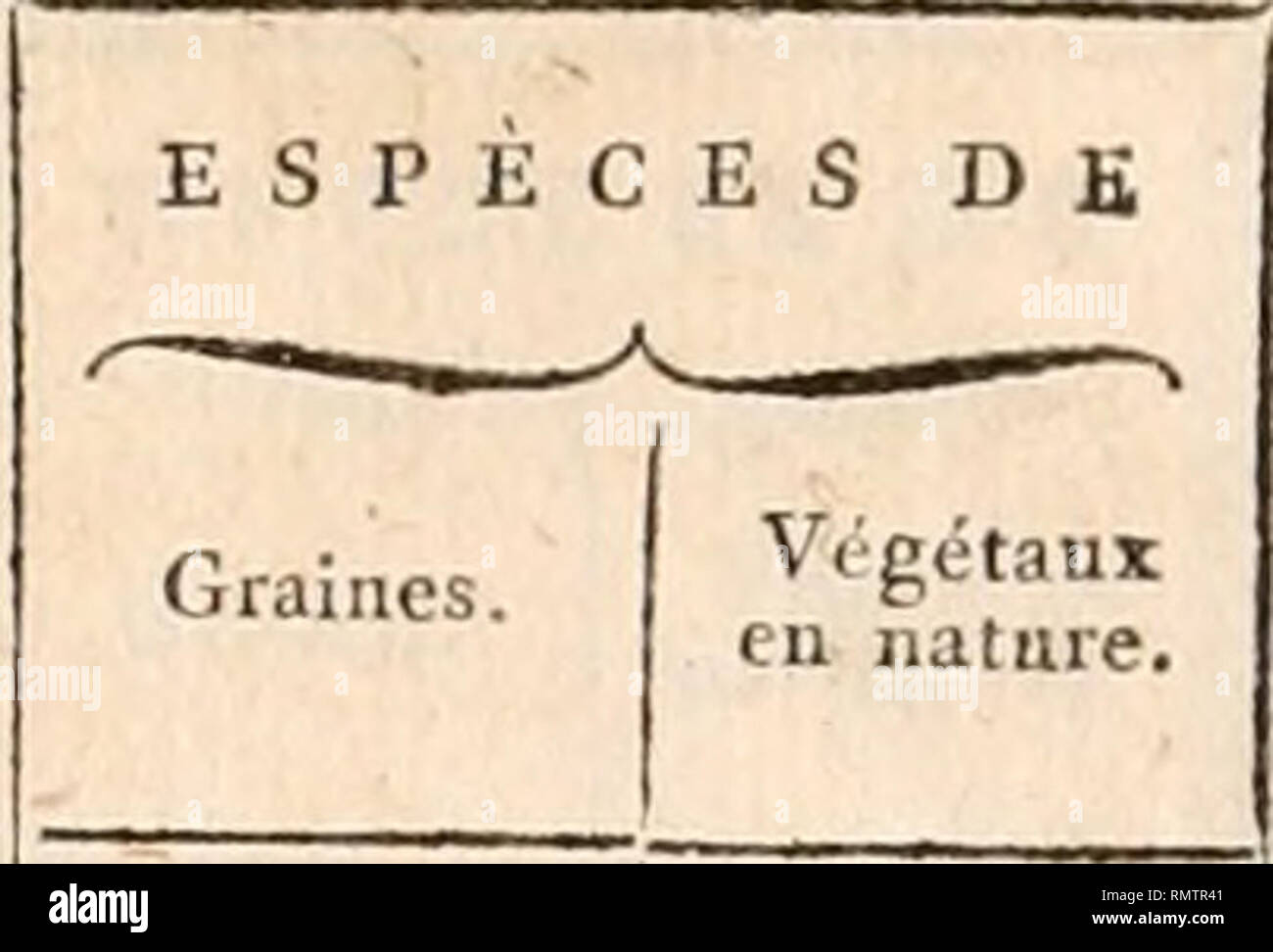 . Annales du Muséum National d'histoire Naturelle. DH1ST0IE.E KATUUELLE. 255 sur les usi économiques et sur les localités où elles ont été récoltées (eavoi très-util"), ci . Reçu du citoyen Nectoux, agriculteur-botaniste, mem- bre de la Commission des sciences et arts en Egypte , 356 espèces de graines récoltées pendant le Cours des Trois années précédentes, tant dans la basse que dans la haute Egypte. Cet envoi est d'autant plus , utile qu'aux plantes indigènes de ce pays se trouvent réunies celles de la plupart des Végétaux qui entrent dans l'économie rurale des Egyptiens. ' Du citoyen La Foto Stock