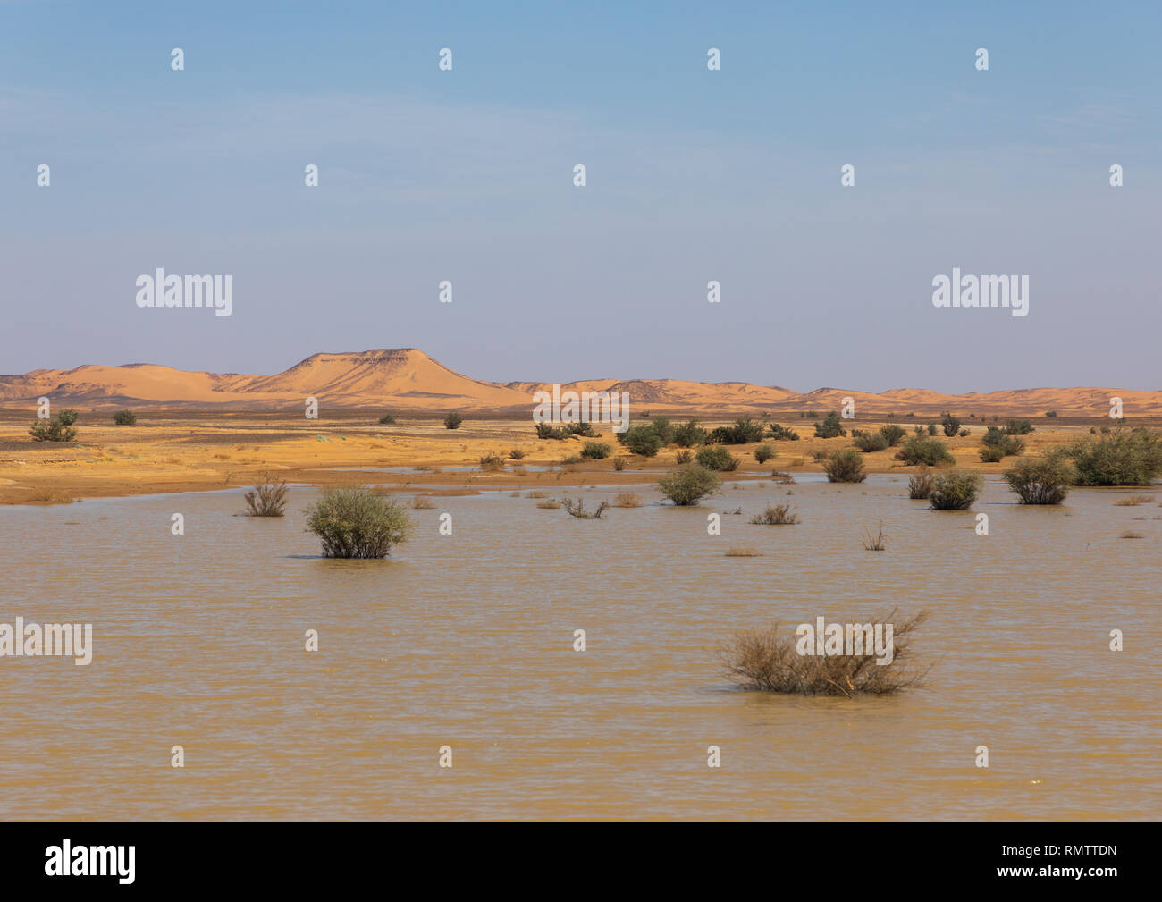 Il lago nel deserto, la Nubia, Old Dongola, Sudan Foto Stock