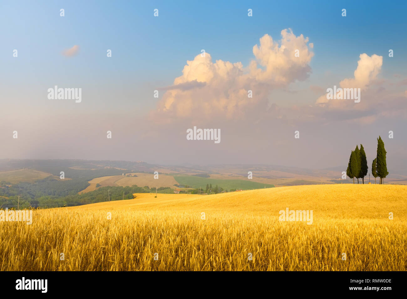 Estate italiana paesaggio di campagna - campi dorati e cielo blu Foto Stock