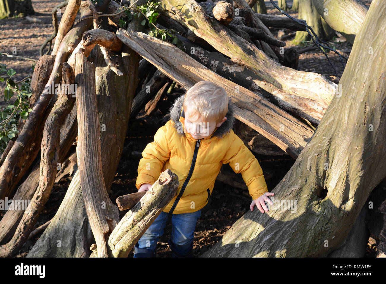 Giovane ragazzo giocando al di fuori di imparare a costruire un den nella foresta Foto Stock