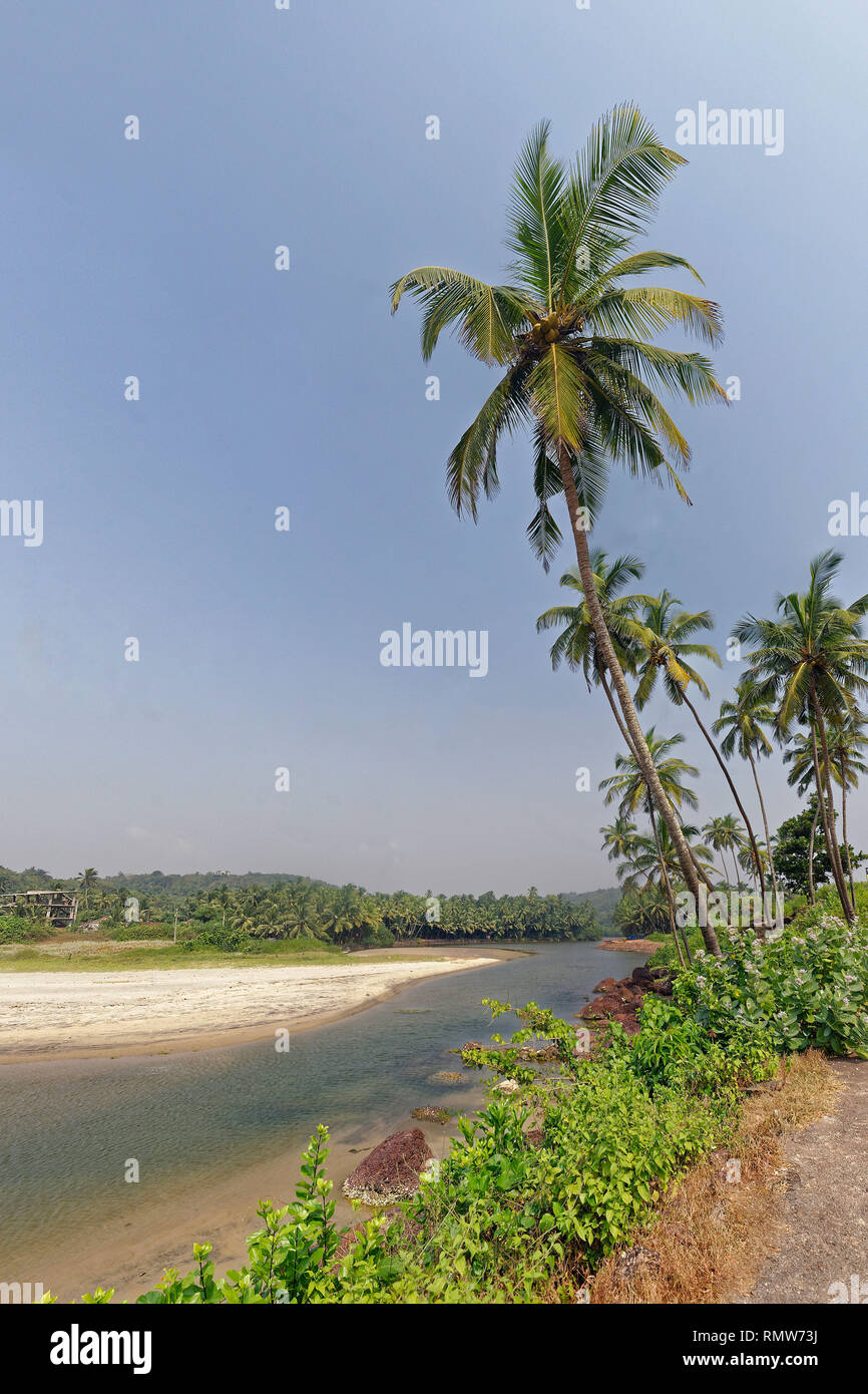 Spiaggia Khavane sindhudurg, Maharashtra, India, Asia Foto Stock