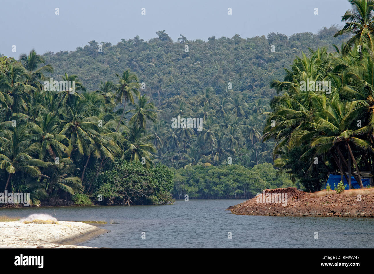 Spiaggia Khavane sindhudurg, Maharashtra, India, Asia Foto Stock