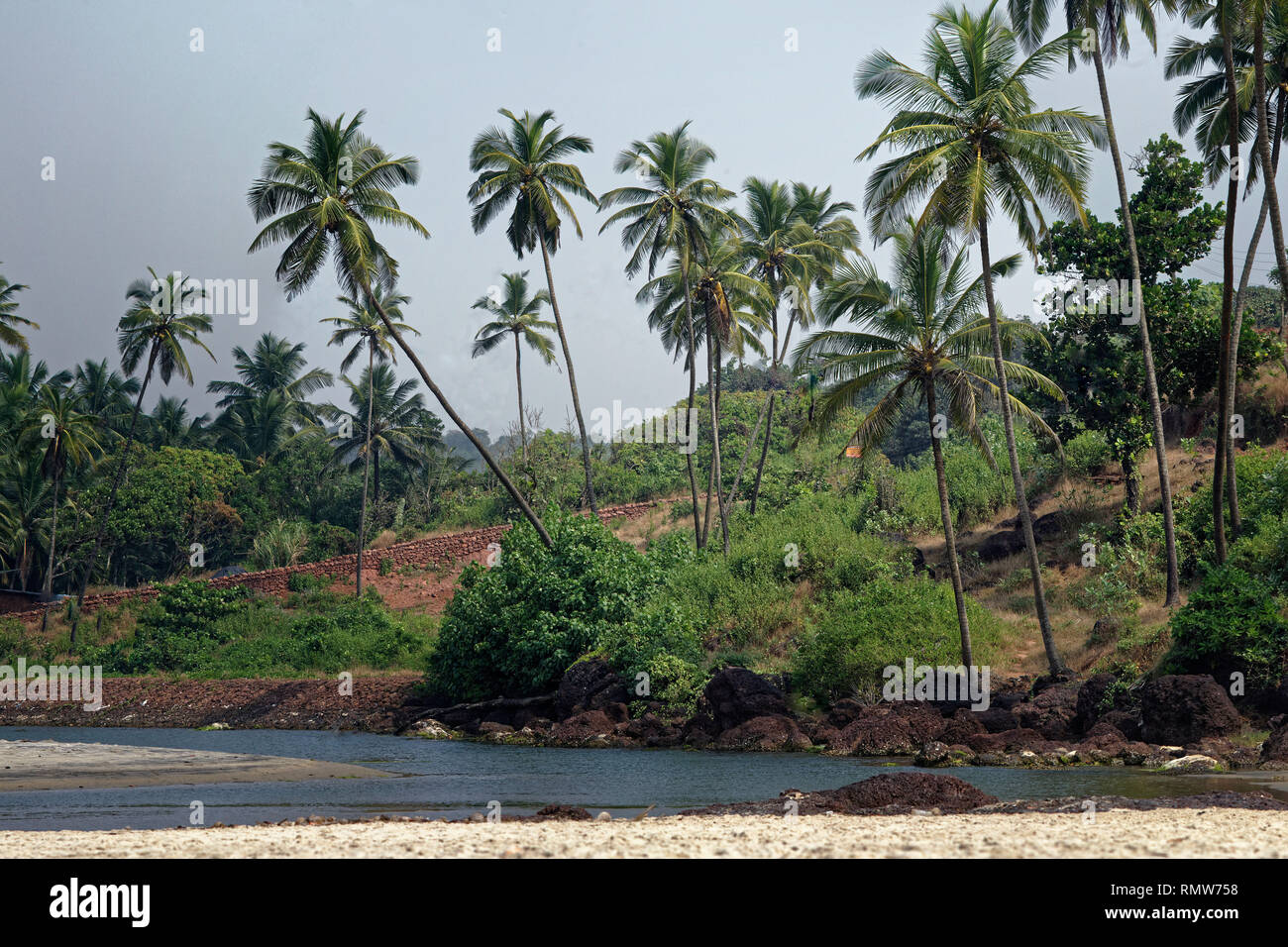 Spiaggia Khavane sindhudurg, Maharashtra, India, Asia Foto Stock
