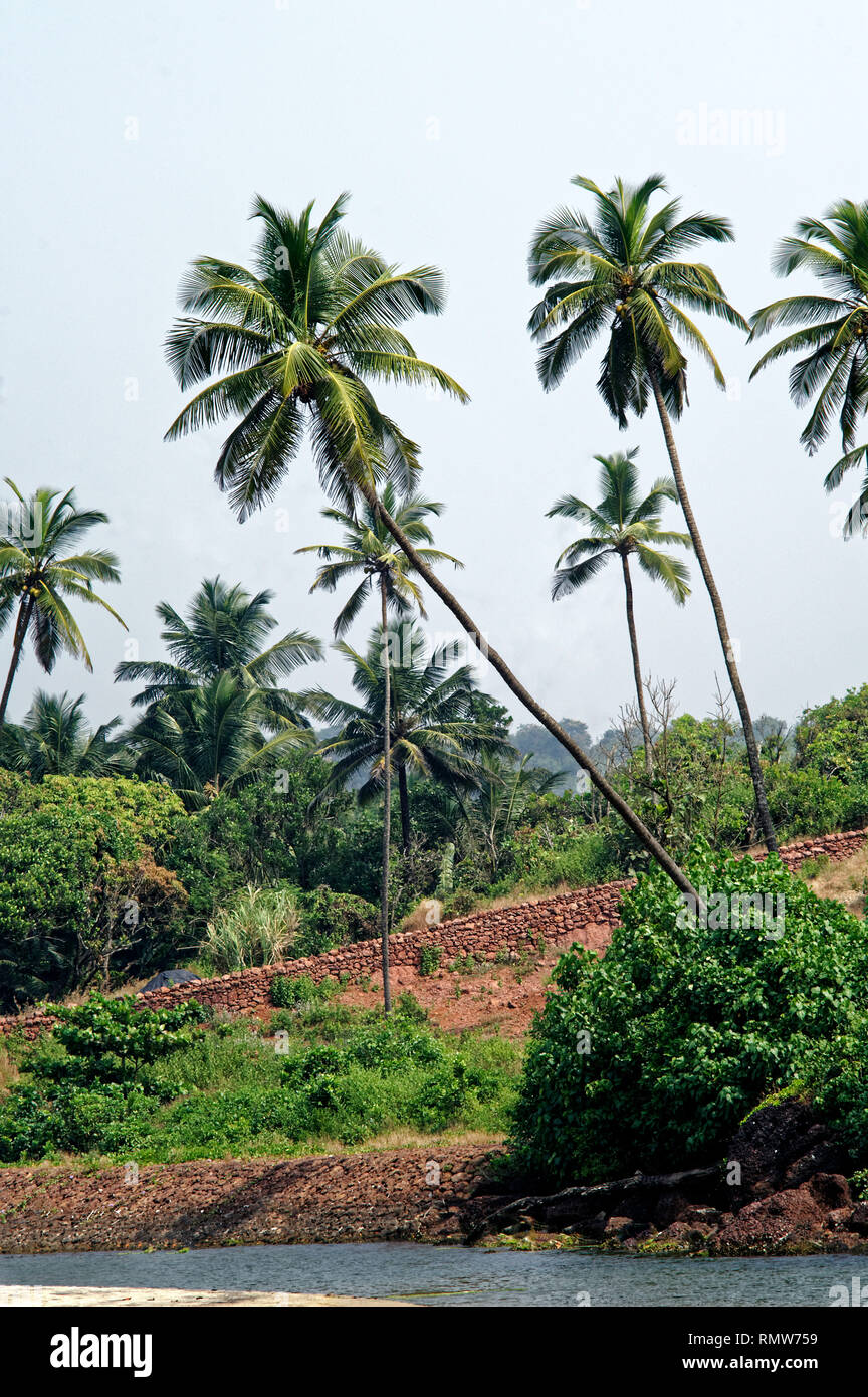Spiaggia Khavane sindhudurg, Maharashtra, India, Asia Foto Stock