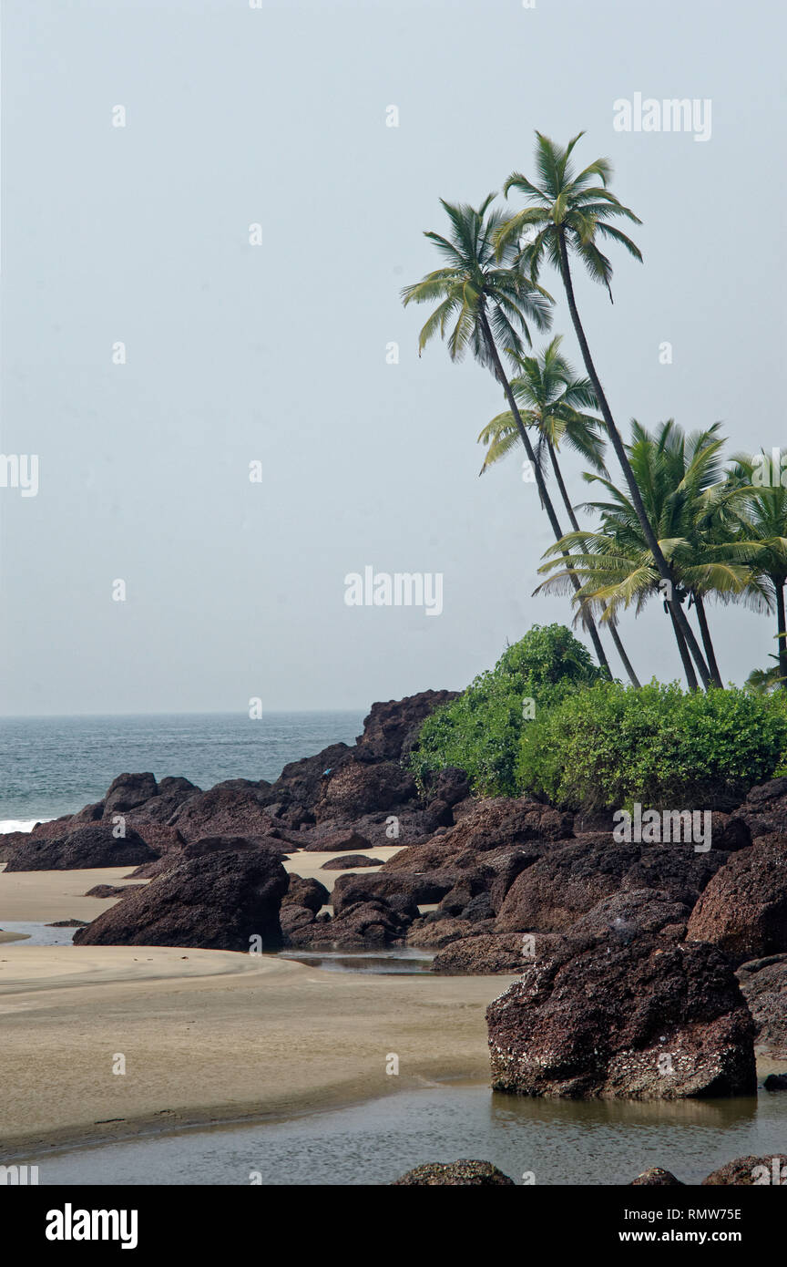 Spiaggia Khavane sindhudurg, Maharashtra, India, Asia Foto Stock