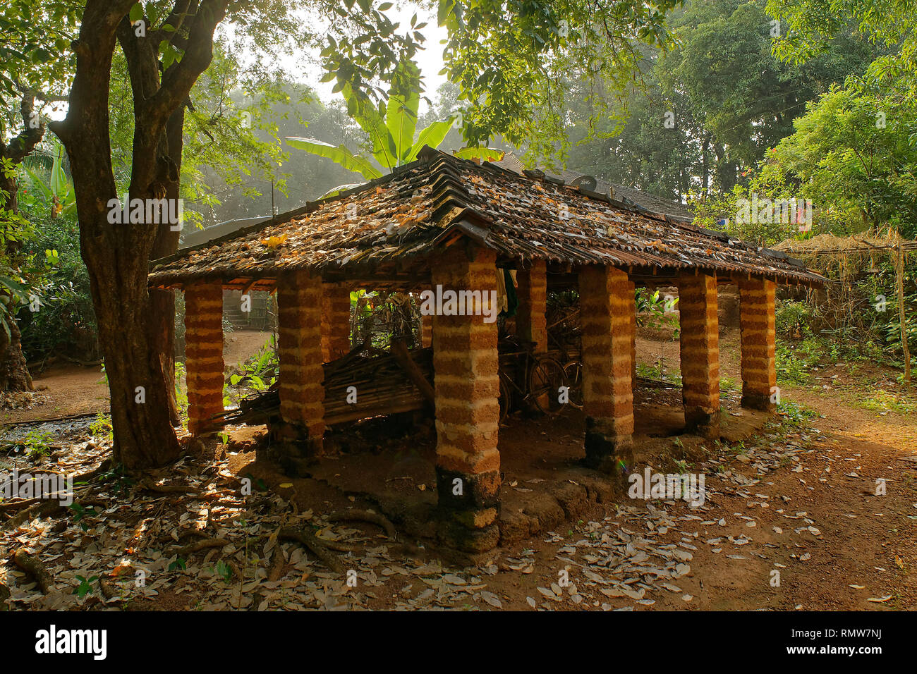 Stalla, sindhudurg, Maharashtra, India, Asia Foto Stock