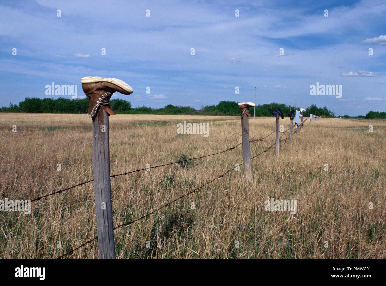 Boot come palo da recinzione caps,Saskatchewan, Canada Foto Stock