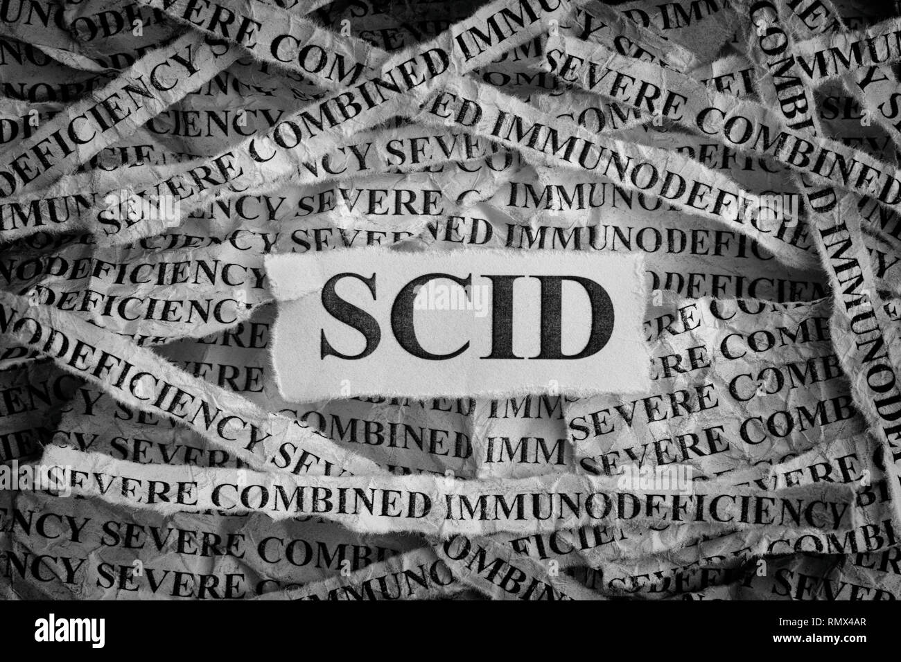 SCID. Pezzi di carta strappati con le parole immunodeficienza combinata grave. Concetto di immagine. In bianco e nero. Close up. Foto Stock