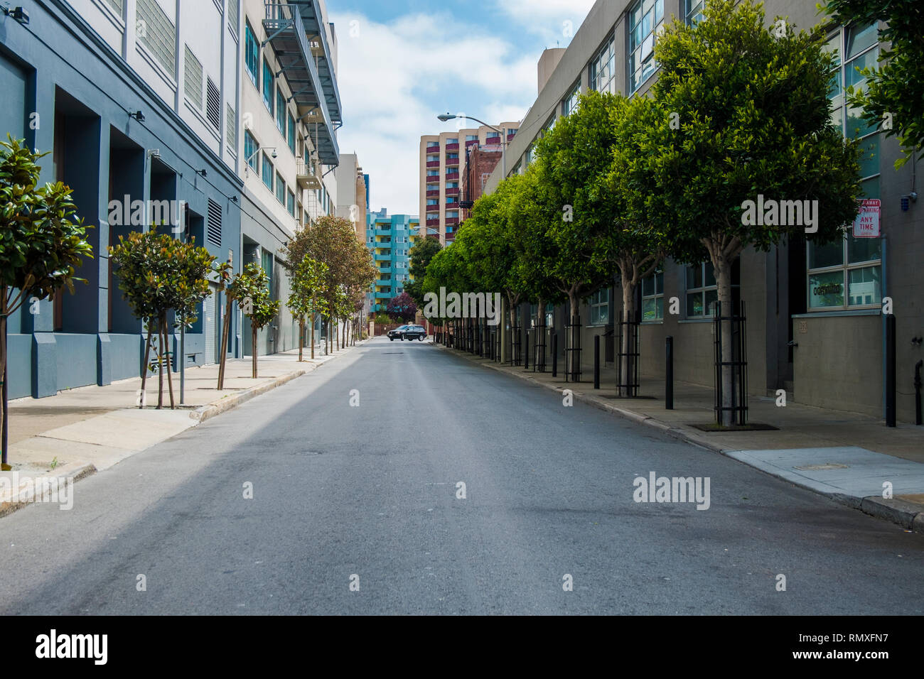 Un vuoto strade orlate da alberi a San Francisco, California. Foto Stock