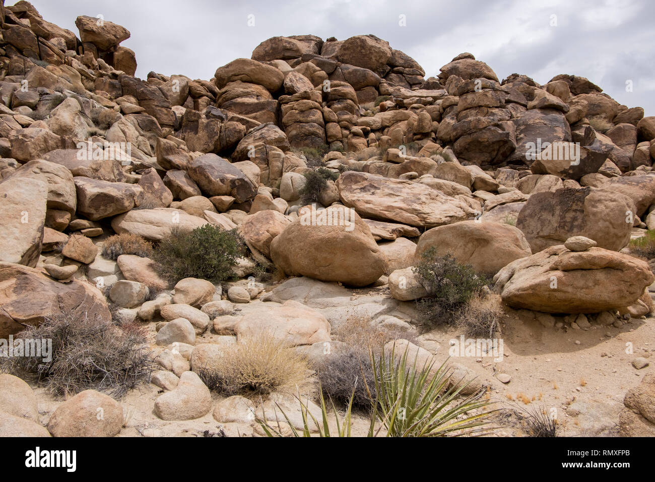 La formazione rocciosa nel deserto in ventinove palme, California. Foto Stock