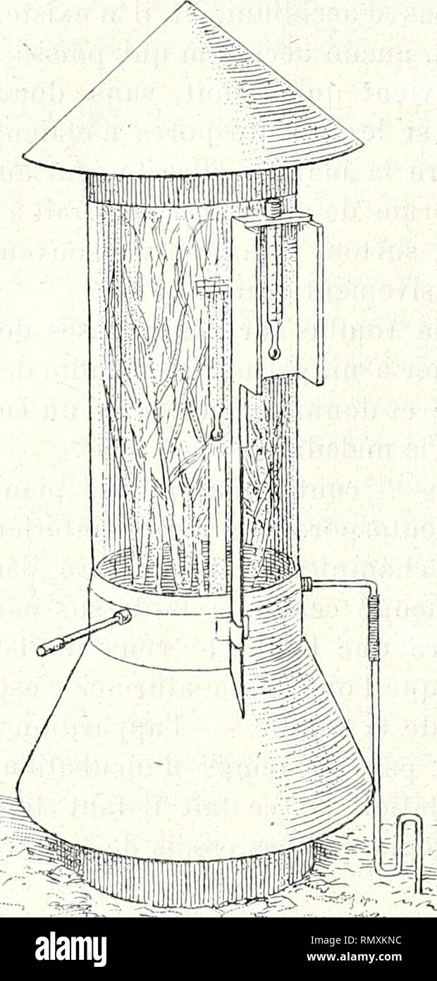 . Annales des Sciences Naturelles Botaniques. 32 JAKOB ERIRSSON. tout entière. Cette couche de coton se trouvait entre de raddoppia i filetti de métal, et quelques pouces au-dessus du bord supérieur de la caisse, il y avait une cappella de métal toute ronde, devant servir d'Abri contre la pluie. L'autre caisse se composait d'onu cylindre en verre, ouvert aux deux extrémités, haut de 50 centimètres et grande de 25 centimètres. Le bout inférieur de ce cylin- dre entrait dans une mortaise pratiquée dans le zoccolo rond de métal sur lequel reposait le cylindre. Tout Autour du zoccolo il y avait onu cylindre de Foto Stock