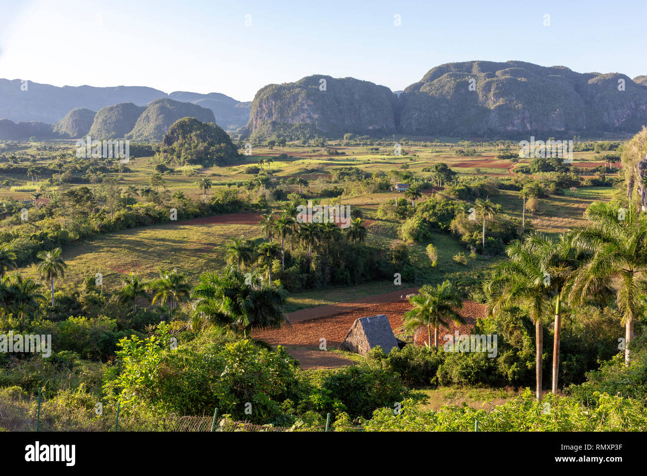 Vista panorma dei campi, mogotes e palme di Vinales Valley, Cuba Foto Stock
