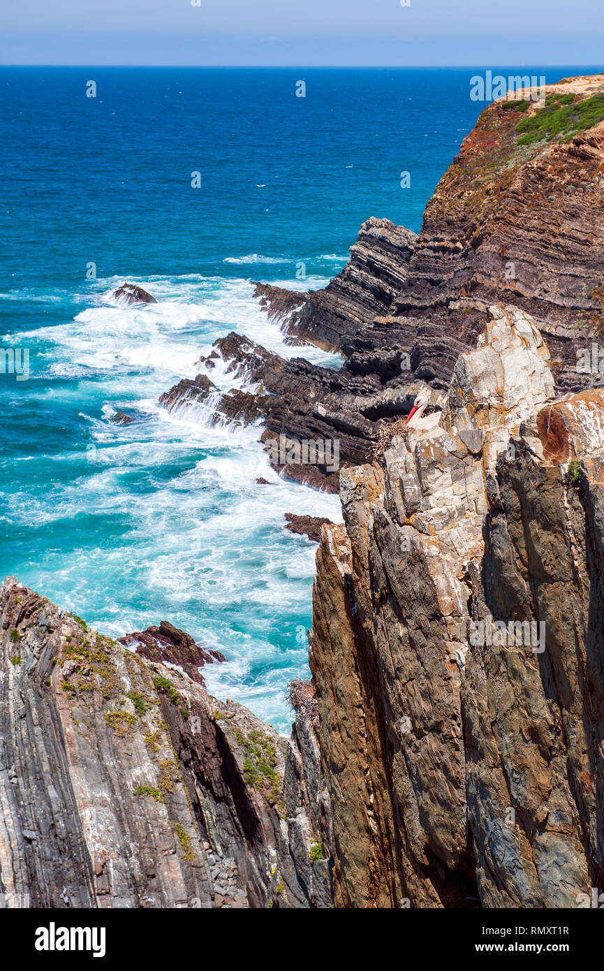 Una cicogna il nido costruito sul bordo della scogliera tra Almograve e Zambujeira do Mar del sud del Portogallo. Foto Stock