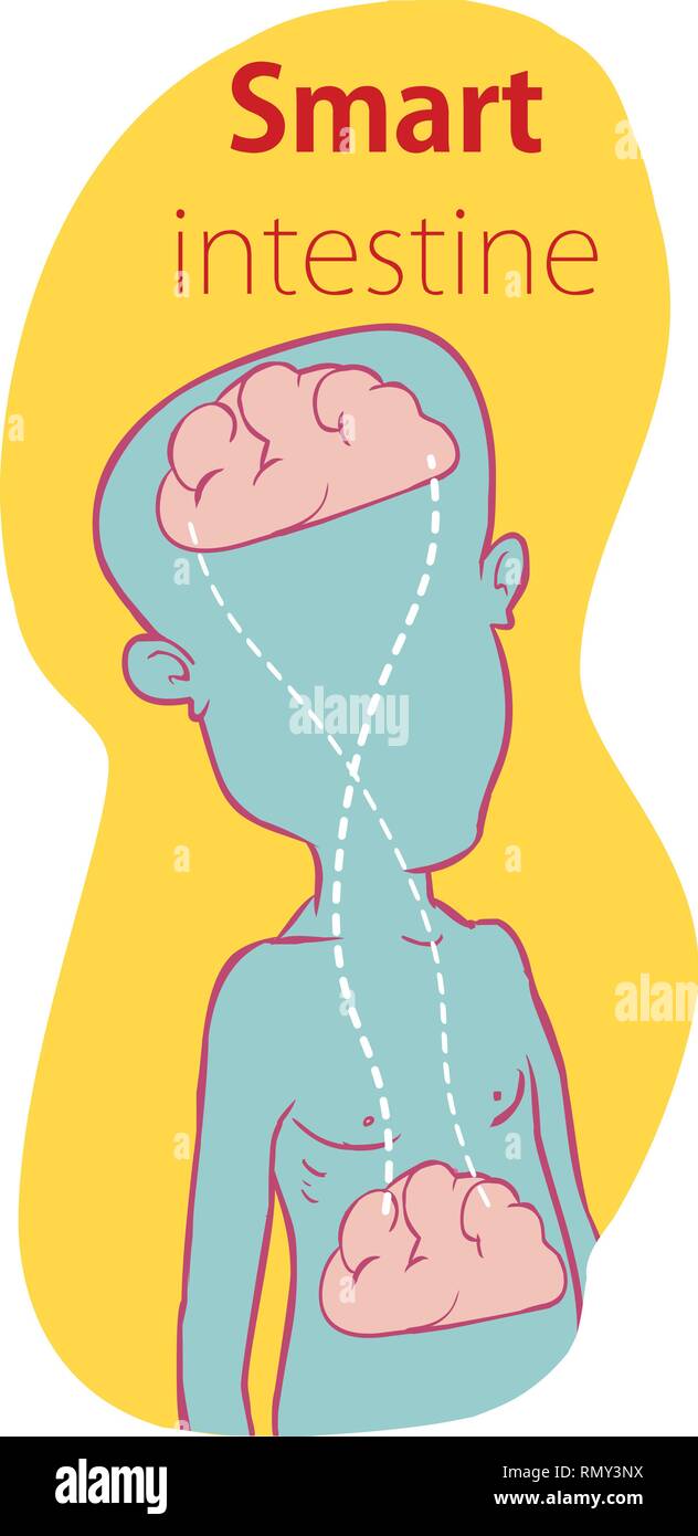 Relazione del cervello umano e budella, secondo il cervello, il diagramma di immagini - Vettore Illustrazione Vettoriale