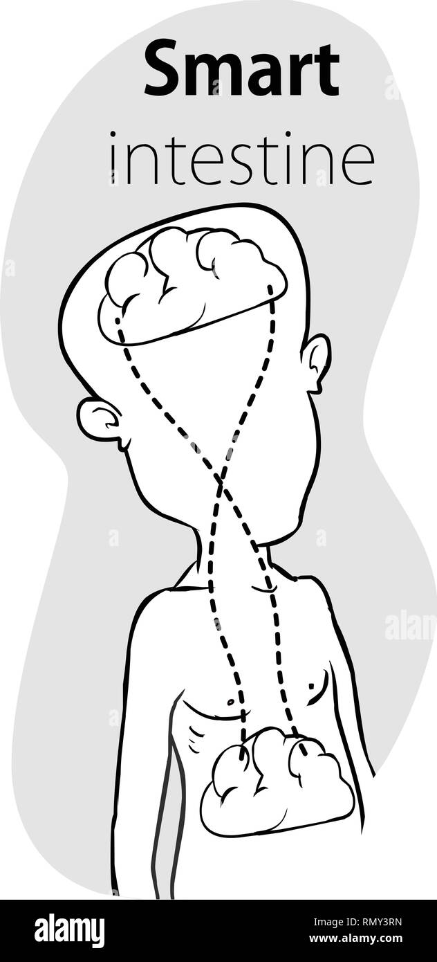 Relazione del cervello umano e budella, secondo il cervello, il diagramma di immagini - Vettore Illustrazione Vettoriale