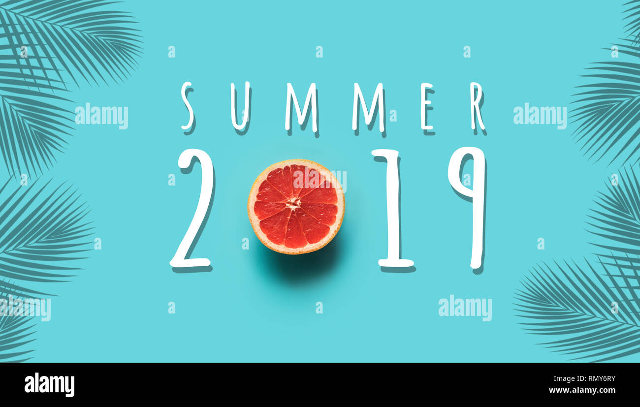 Estate 2019 concetti con testo di colore rosso e la frutta di colore arancione su sfondo blu.holiday idea immagine Foto Stock