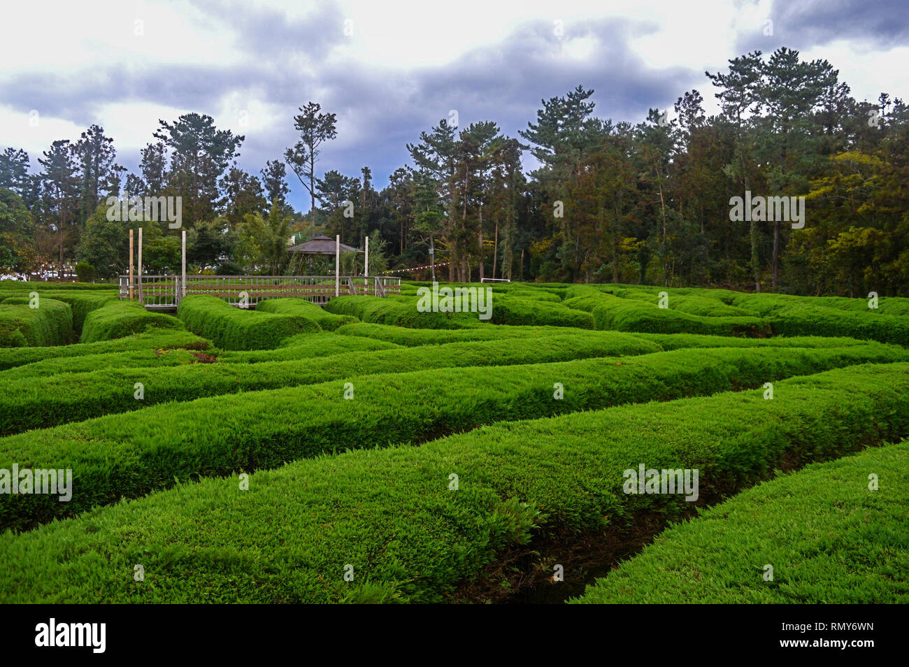 Gimyeong labirinto in un giorno di tempesta. Foto Stock