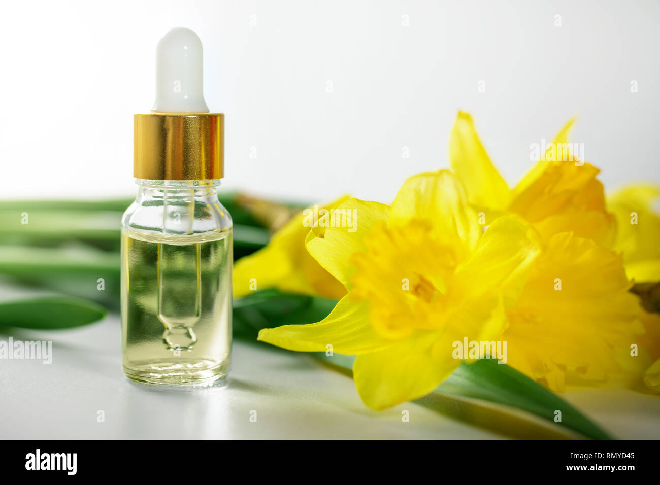 Daffodil profumo bottiglia di olio e fiori su bianco Foto Stock