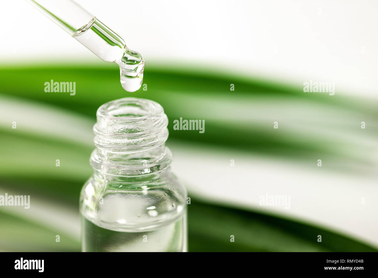 Essenza a base di erbe. olio essenziale che gocciola dalla pipetta alla bottiglia. closeup Foto Stock