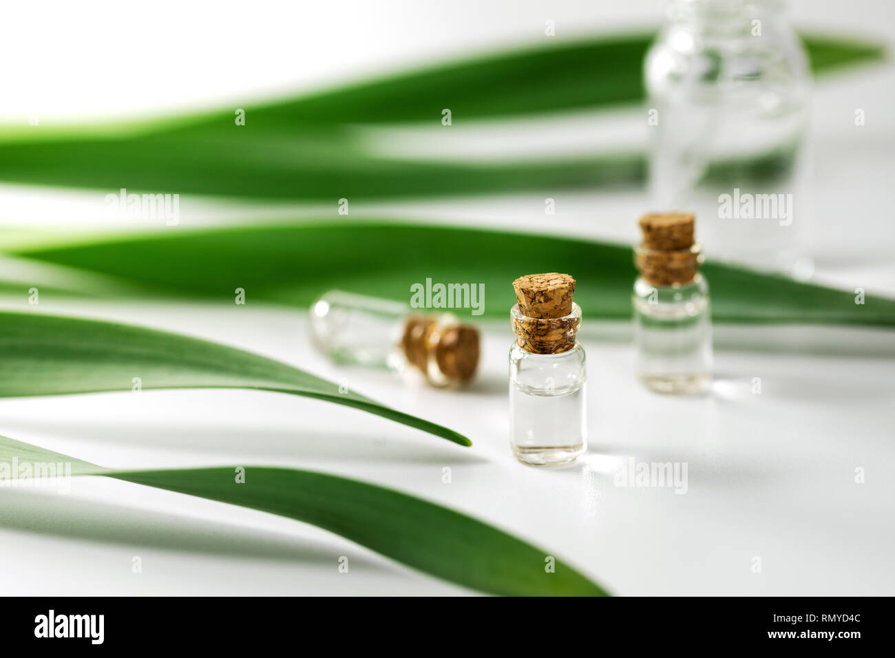 Piccolo olio essenziale di bottiglie e il verde delle foglie di una pianta Foto Stock