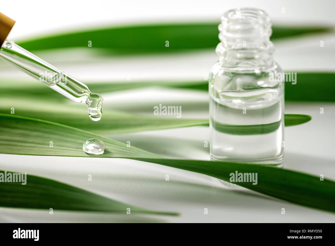 Olio essenziale goccia che cade sulla foglia verde da un contagocce Foto Stock