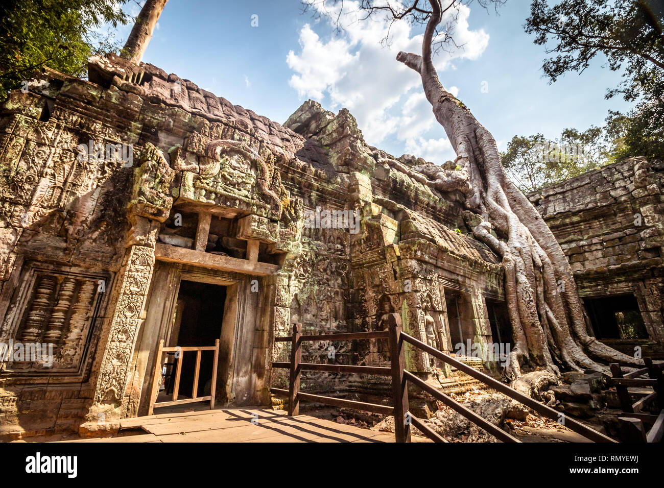 Ta Prohm tempio in Cambogia Foto Stock