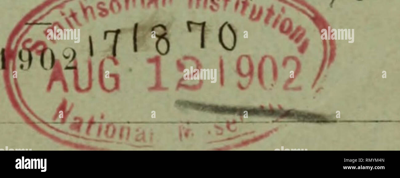 . Annales des Sciences Naturelles. Zoologia; biologia. Ho 1 e ANNÉE. - VIII' SÉRIE T "V. N 2 à 0 ANNALES !) F. S SCIENCES NATURELLES Z 0 0 L 0 G I E F T PALEONTOLOGIE COMP H i:.n N 1 LANATOMIE, LA PHYSIOLOGIE, LA CLASSIFICAZIONE ET L'Histoire Naturelle des animaux l'ho lil.Se.RS sol &gt; |. hllili.l 11 " N I &gt; I : M. EDMOND PERRIER TOMK XV. - Nns 2 à G PARIS MASSON ET CIE, ÉDITE LUS LIBRAIRES DE L/Académie de Médecine 120, Bori.FVAitn ssjj&amp;SG*3K$S*#"K9$^^^7 v. Parigi, 30 fr. - Départements et étranger, 3c2 fr. Ce cahier a été publié en juillet 1902. Les Annales des Sciences naturelle Foto Stock
