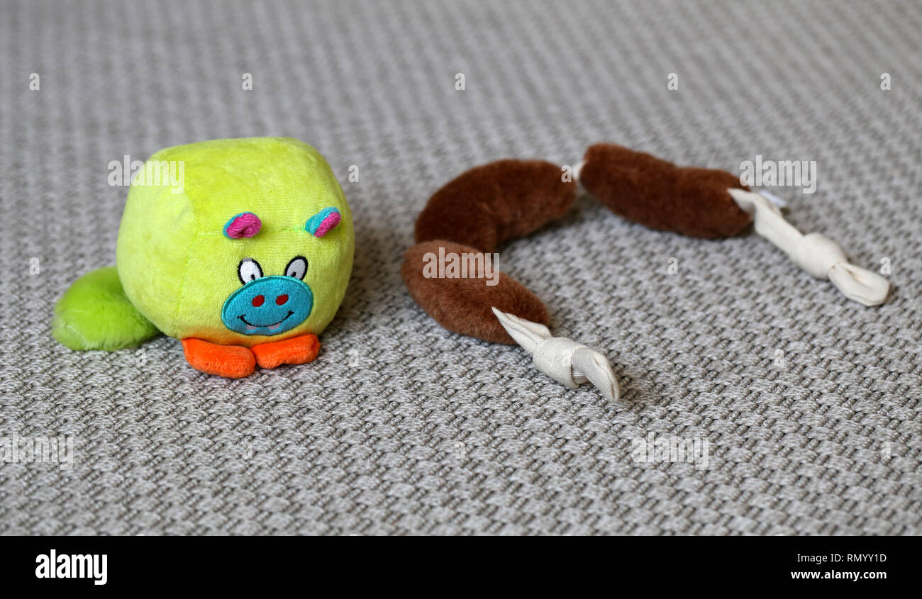 Colorati giocattoli cane su un tappeto grigio. I giocattoli sono marrone ripieni di salsicce e di verde poco monster giocattolo. Carino e giocattoli colorati. Primo piano. Foto Stock