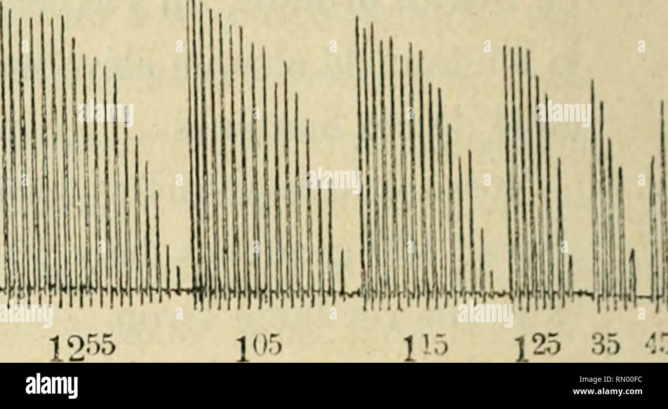 . Annales de la science agronomique franaise et trangre. Agricoltura; Arte -- Francia; Agricoltura stazioni di esperimento -- Francia. MmmmwM: Heure 1l2r. 3ô 45 55 05 15 25 12;" 12-^5. 11 115 125 35 ??:&GT; 55 Fia. 19. Iiitlueuce de dosi moyeuues de Sucre (60 grammi dans GOj ceiitimétros cubi d'eau). Le 6 août 4893, Paoletti, à jeun, luogo dans l'ergographe à 10''35 " figlio médius droit, supportant onu poids de un kilogr. Le travail passe de i''^",584- à 0^^"0â. Un midi cinq minuti, il ingère 60 grammi de Sucre dissous dans 600 cubetti di centimètres d'eau. Le travail re- monte, atteint Foto Stock