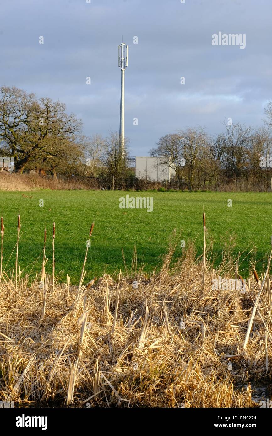 Palo per telefoni cellulari, palo per telefoni cellulari, impostazione rurale, Cheshire, Inghilterra, Comunicazioni, antenne, antenna, tecnologia,, Mast, Telefono, rete. Foto Stock