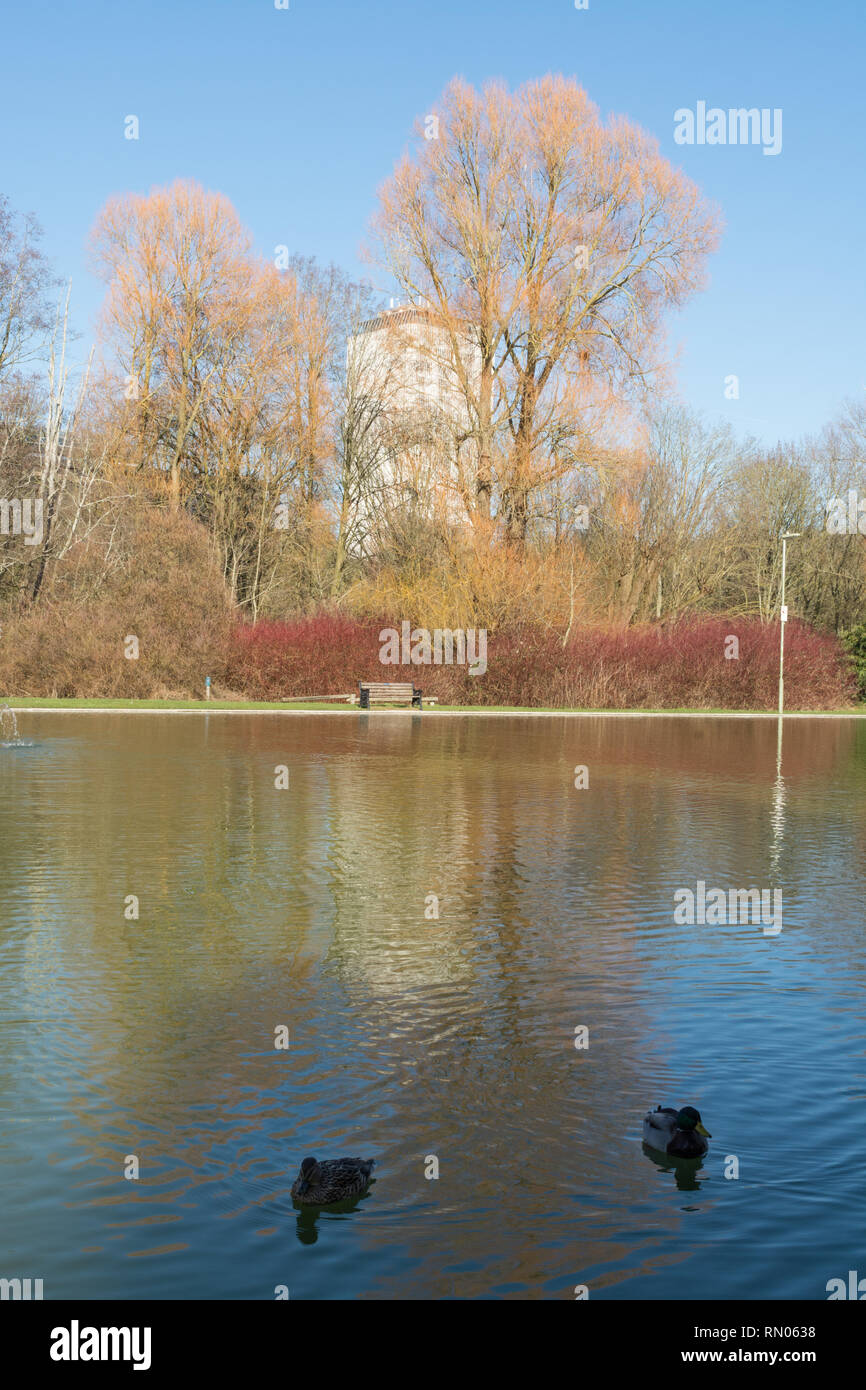 Vista del Parco Eastrop con giardini e il lago nel mese di febbraio in una giornata di sole, Basingstoke, Hampshire, Regno Unito Foto Stock