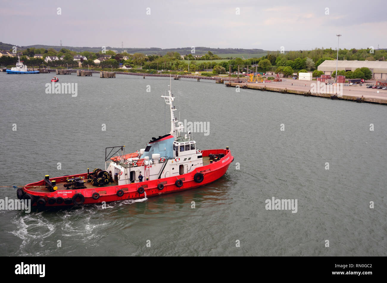 Rimorchiatore Breedbank guida di una nave da crociera nel suo Ormeggio al porto di Ringaskiddy, nella contea di Cork. Foto Stock