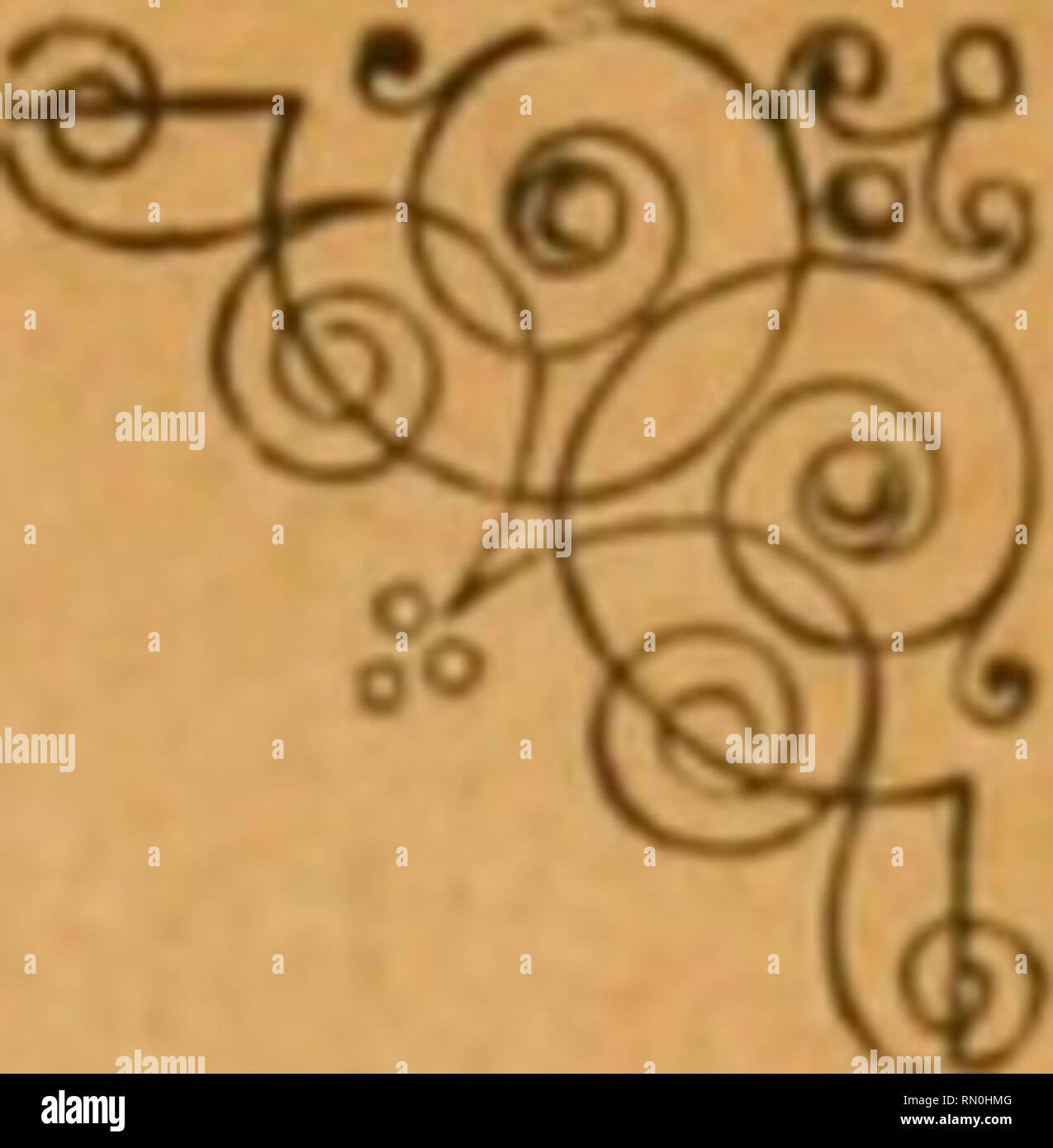 . Annales de la Société Entomologique de France. Insetti; Entomologia. ANNALES SOCIÉTÉ ENÏOMOLOGIQUE DE FRANCE FONDÉE LE 29 février 1832 RECONNUE COMME istituzione d'UTILITK PUBLIQUE PAR DÉCHET DU 23 AOUT 1878 Natura maxime miranda in minimis. VOLUME LXXIII - ANNÉli 1904 3'^ TRIMESTRE EB 1 19(7 PARIS AU SIÈOE 131^: LA SOCIKTIG HOTEL DES SOCIÉTÉS SAVANTES 28, rue Serpente, 28 Mars 1905 t^mmi^ Les Annales paraissent trimestriellement. Le Secrétaire-gérant : Pu. Gkolnllli;. '). Si prega di notare che queste immagini vengono estratte dalla pagina sottoposta a scansione di immagini che possono essere state migliorate digitalmente per readabil Foto Stock