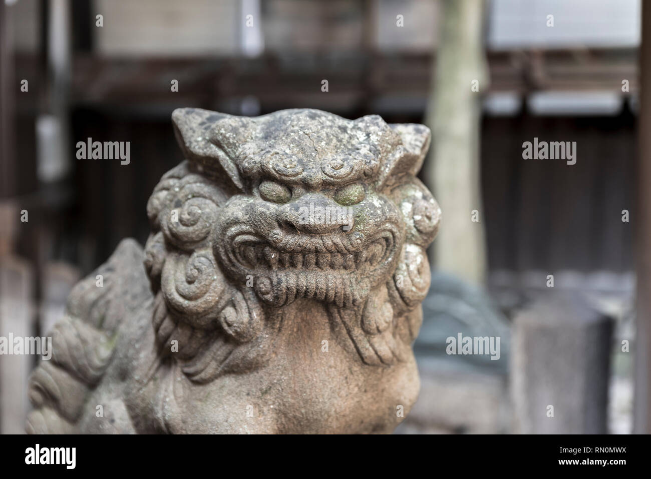 Un guardiano di komainu di pietra, situato in un tempio in uno Shinto, in Giappone Foto Stock